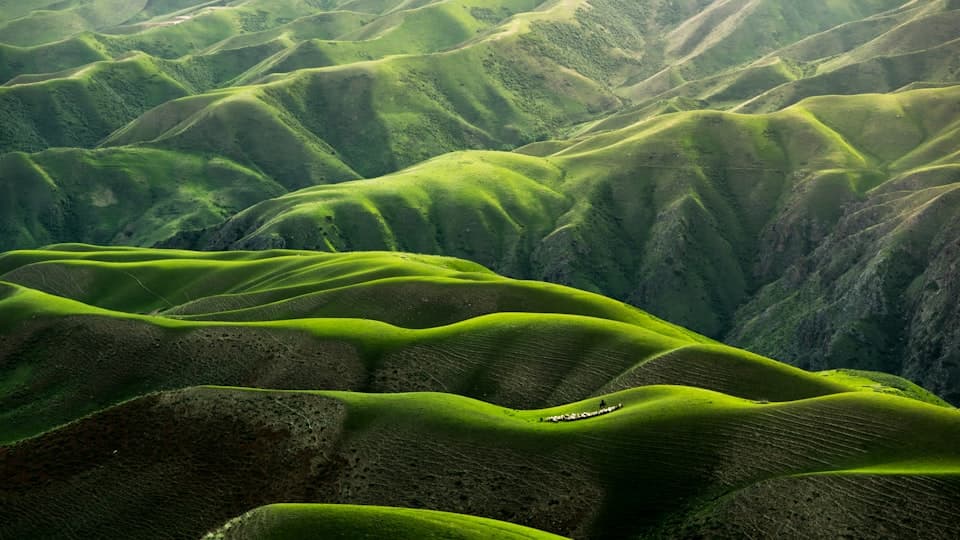 May 2026 seasonal landscape